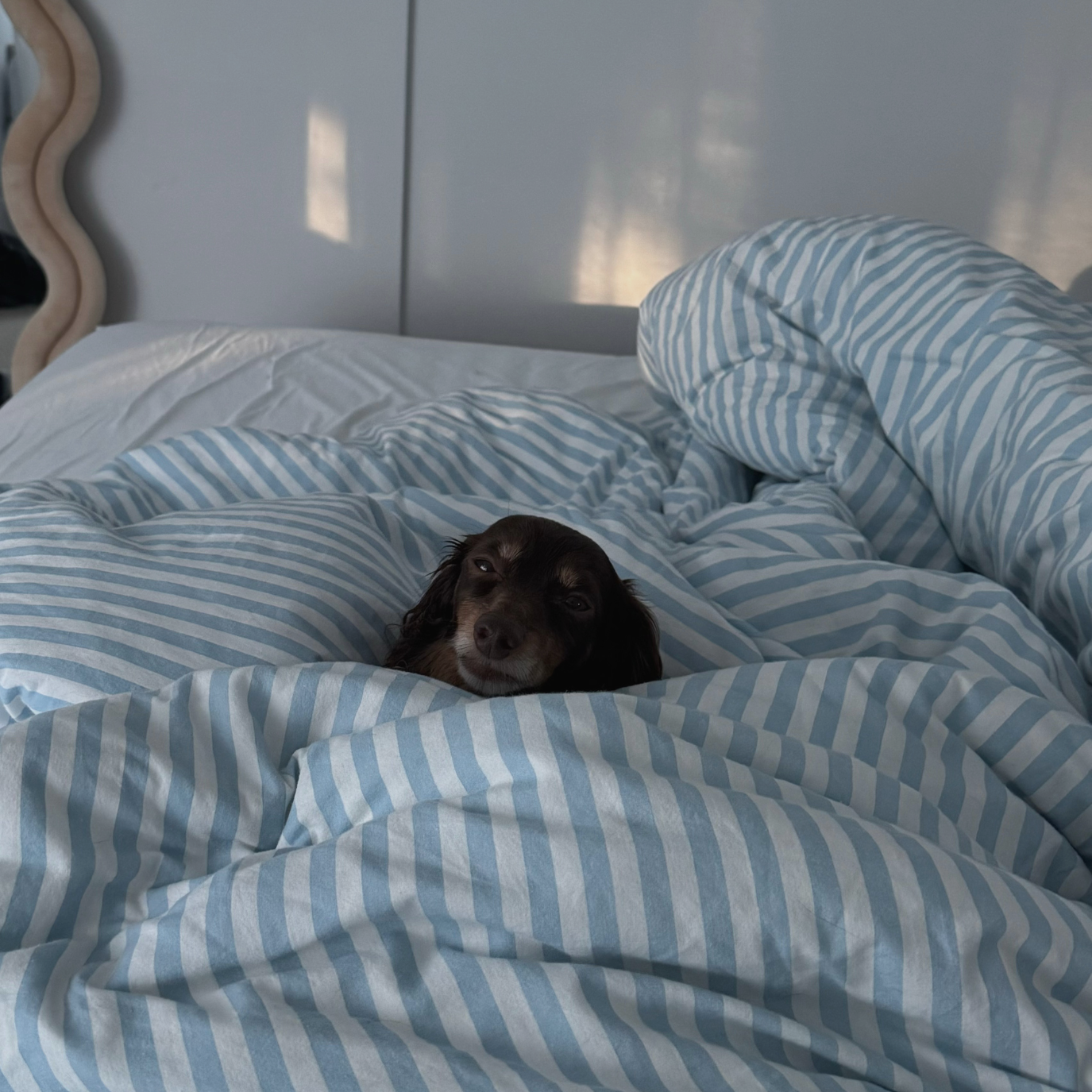 Embracing Winter: Finding Joy in the Season of Hibernation