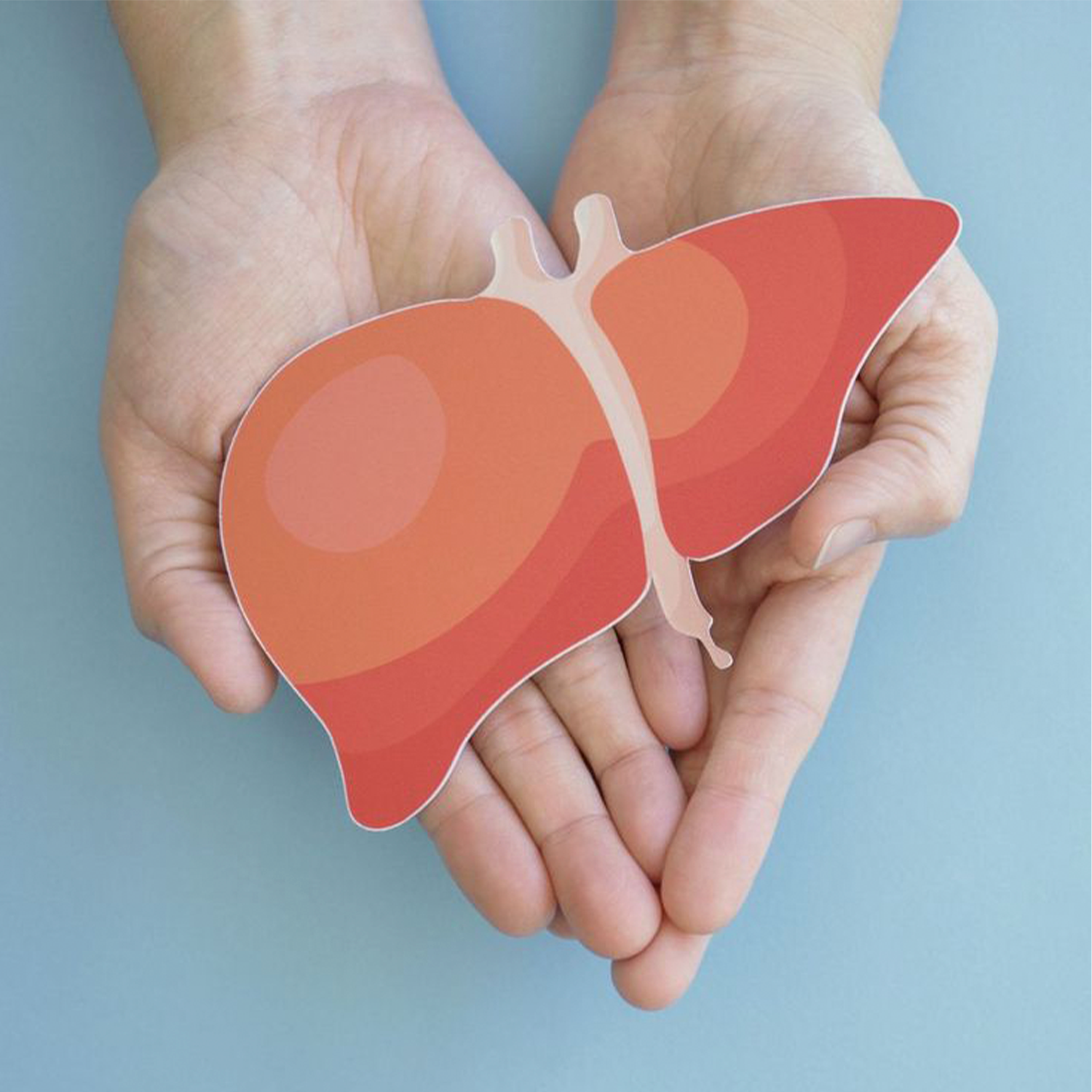 Gotta Love Your Liver… But Why?