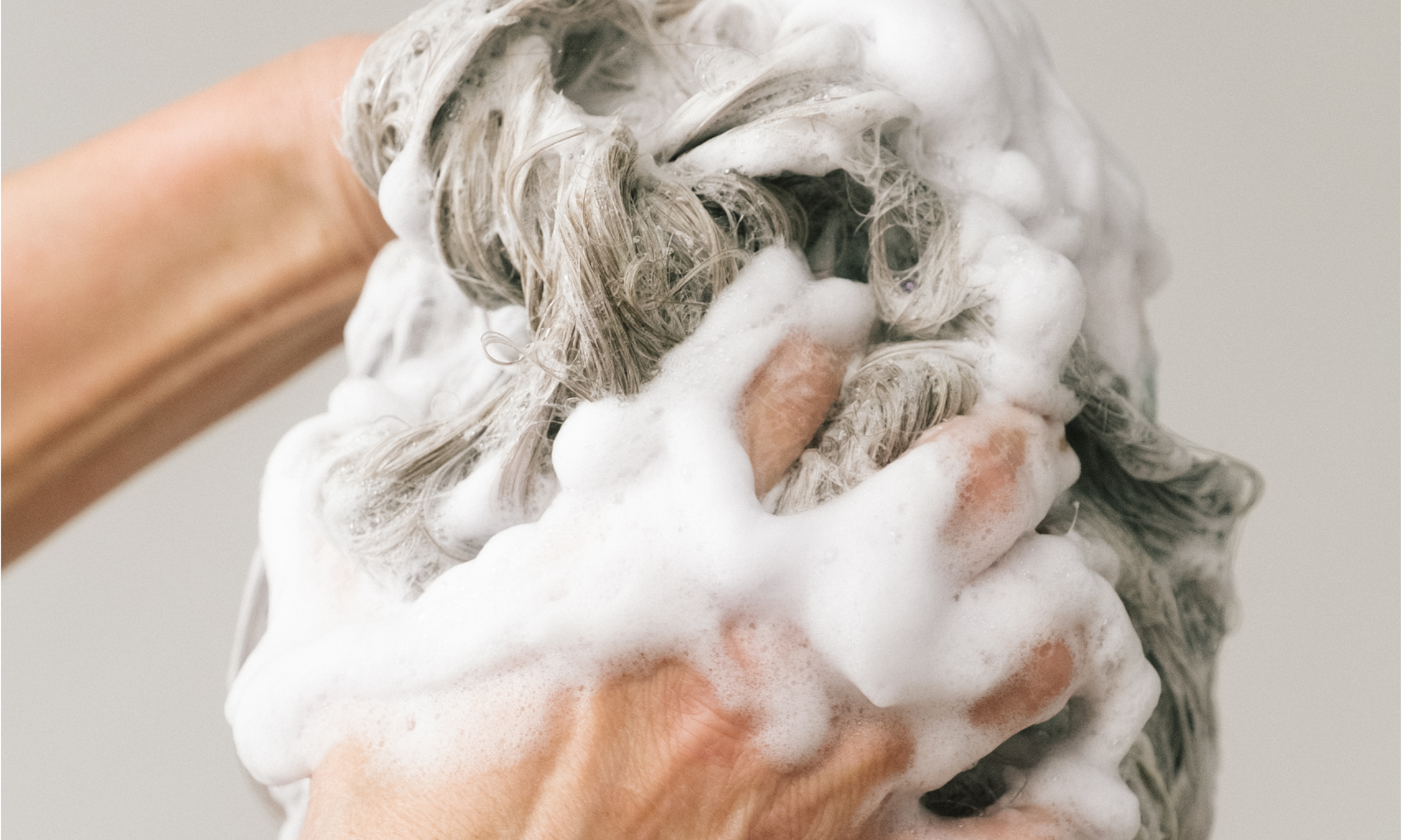 how to improve scalp health