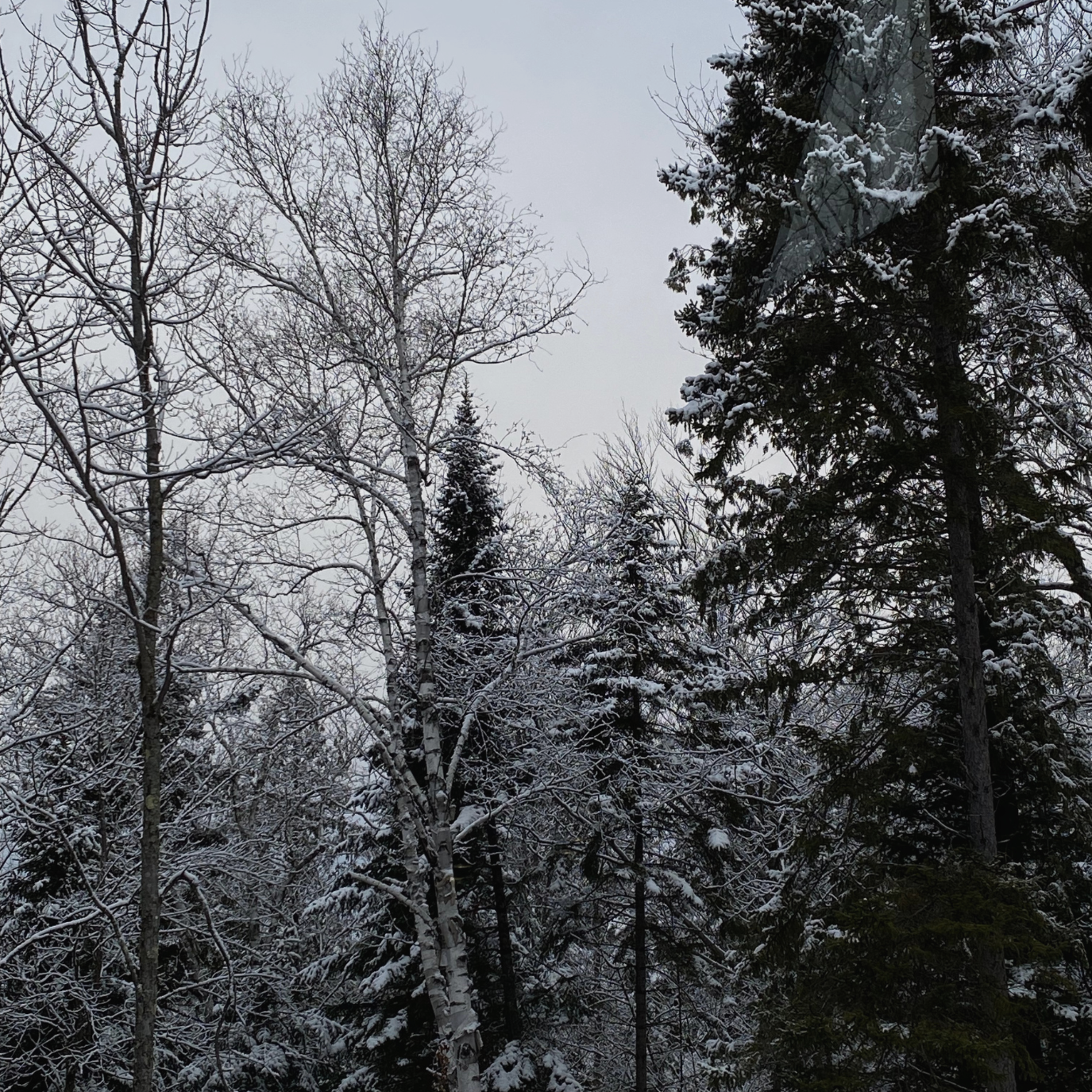 Stay Active This Holiday Season: Easy Tips for Fitness Amid the Festivities