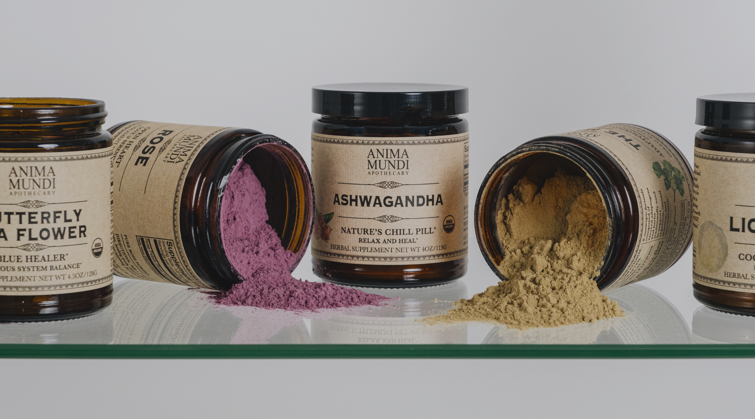 Unveiling the Energy Vault: Practical Steps for Elevating Your Daily Vitality