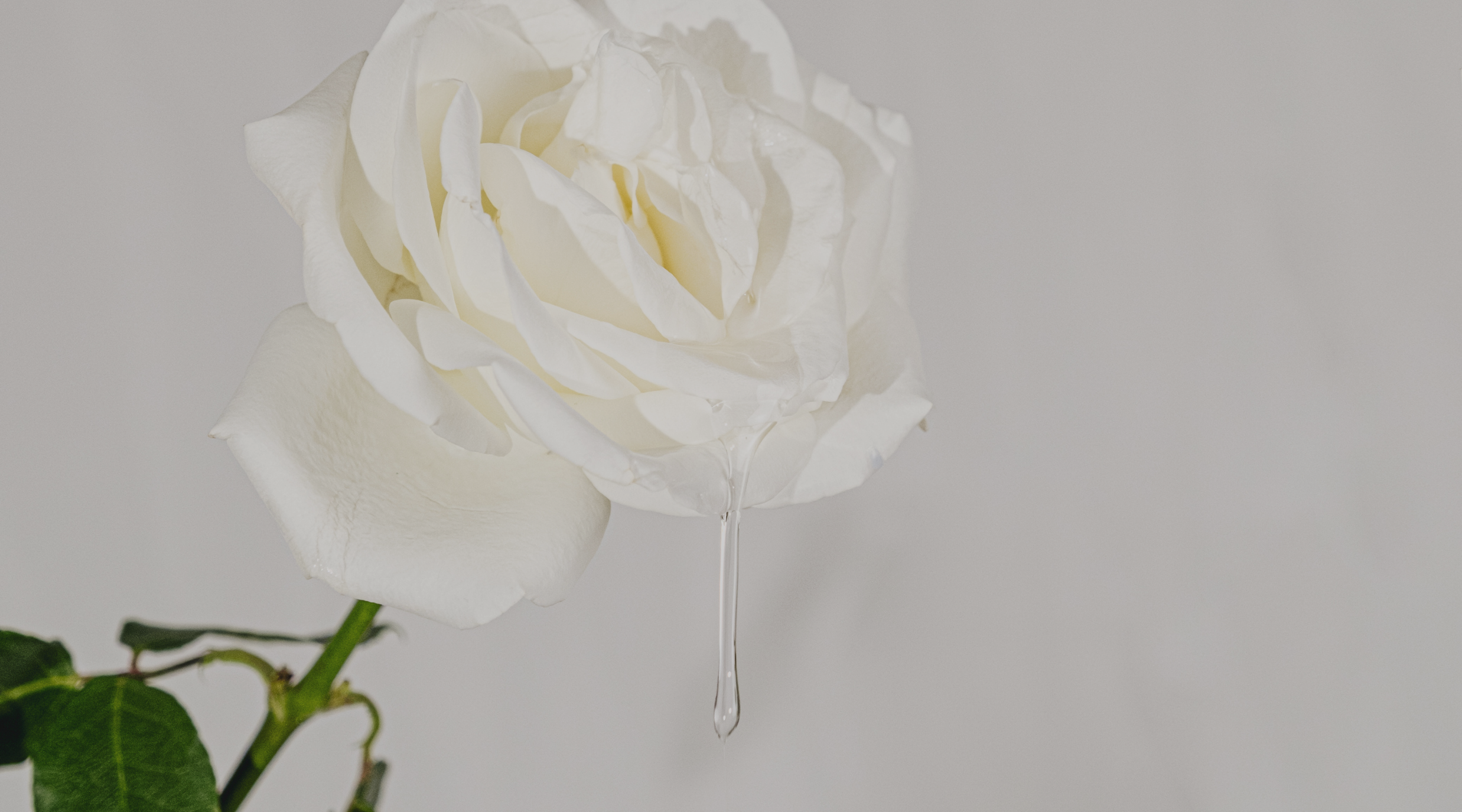 Say “I do”: A Bride's Guide to Glowing Skin