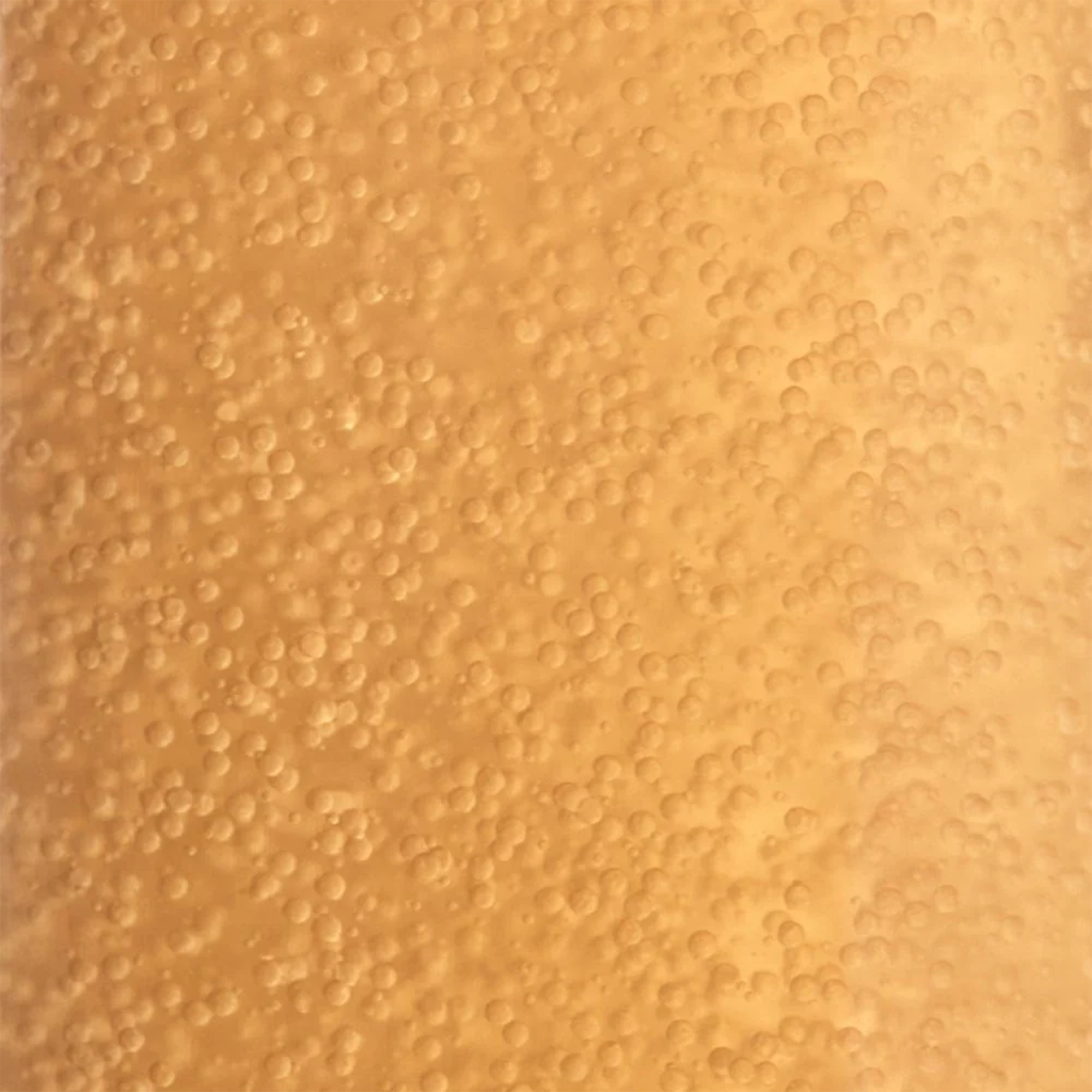 Suprême Absolu Micro-Pearl Youth Infusion