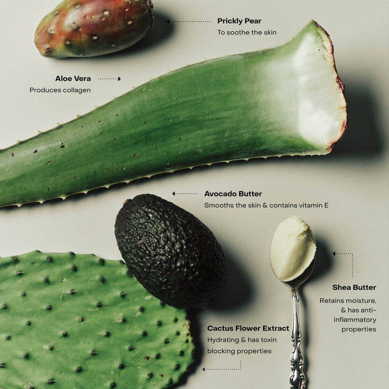 The Body Exfoliant