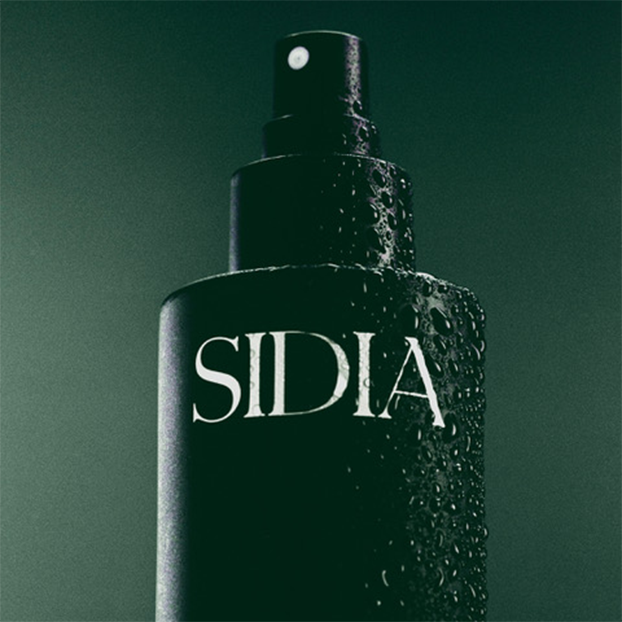 The Body Mist