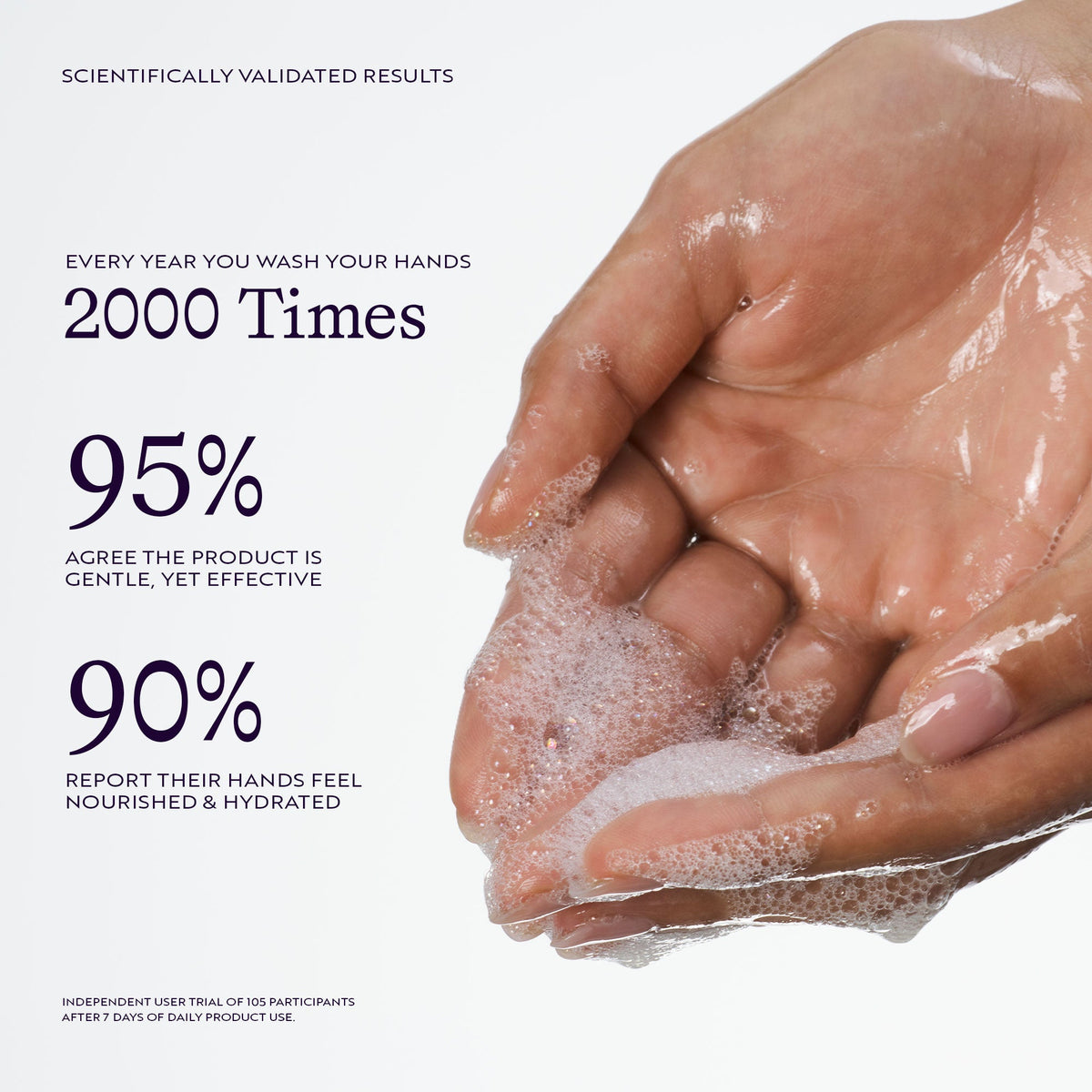 Palm Wild Hand Wash