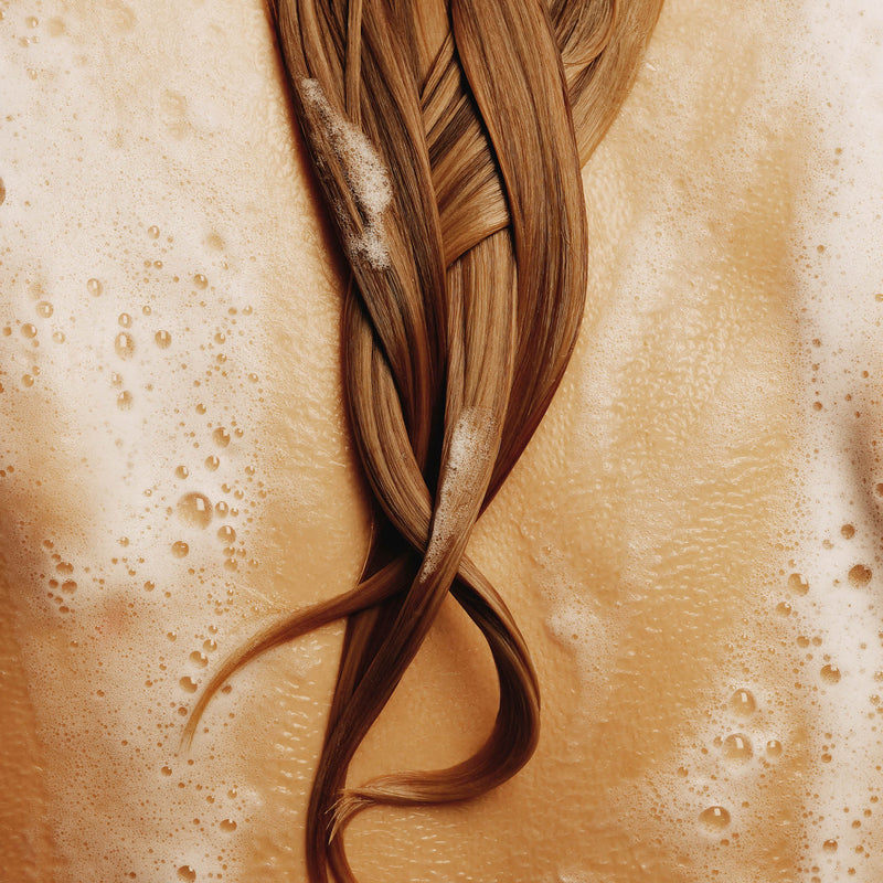 The Rich Shampoo