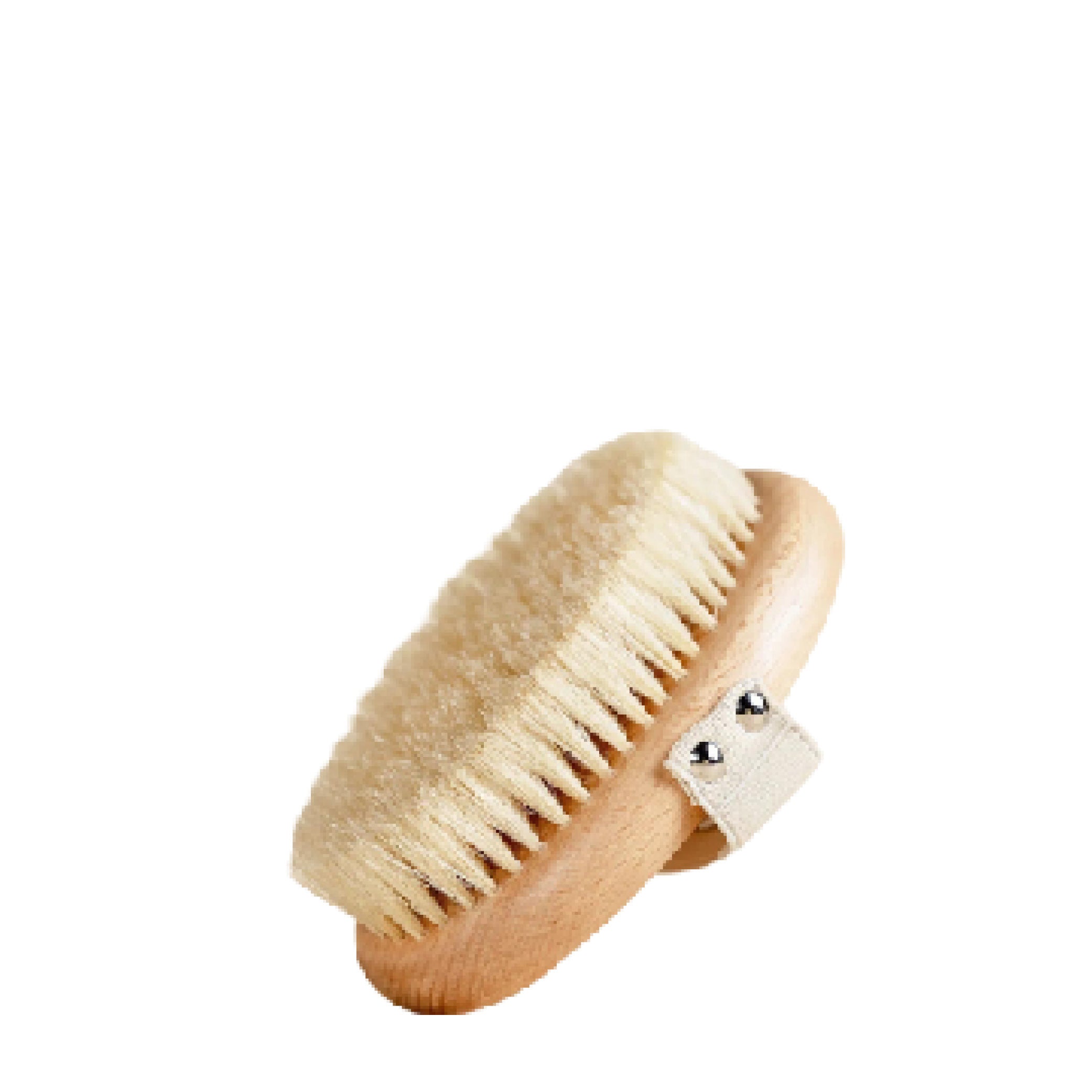 The Body Brush