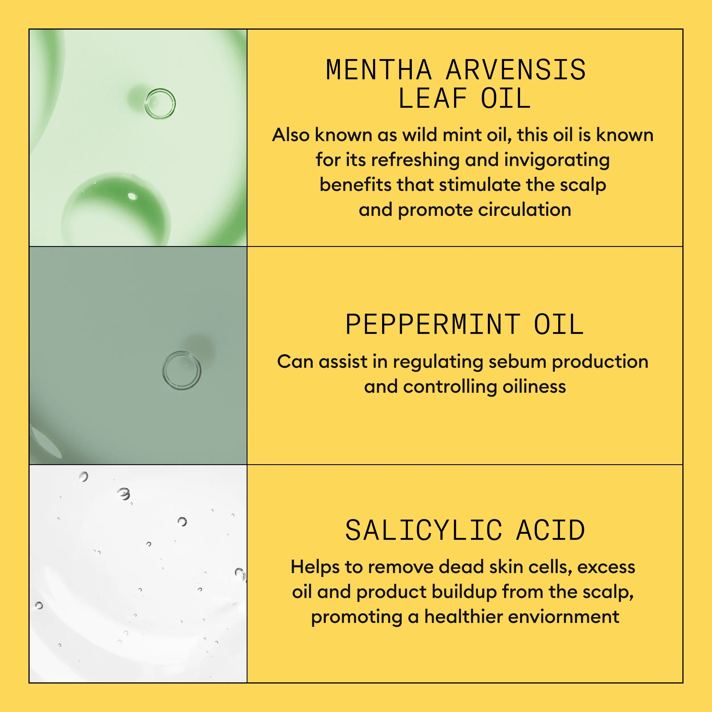 System 1 Nettoyant Shampoing