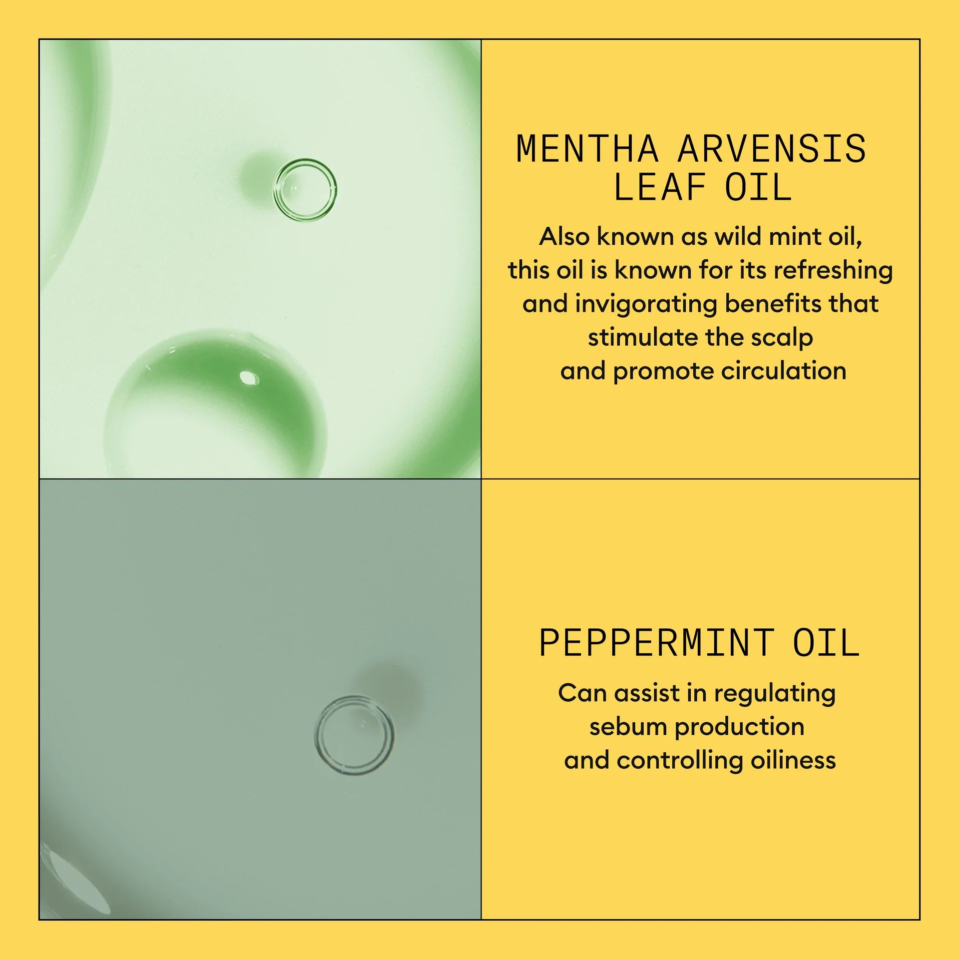 System 1 Scalp Therapy Après-Shampoing