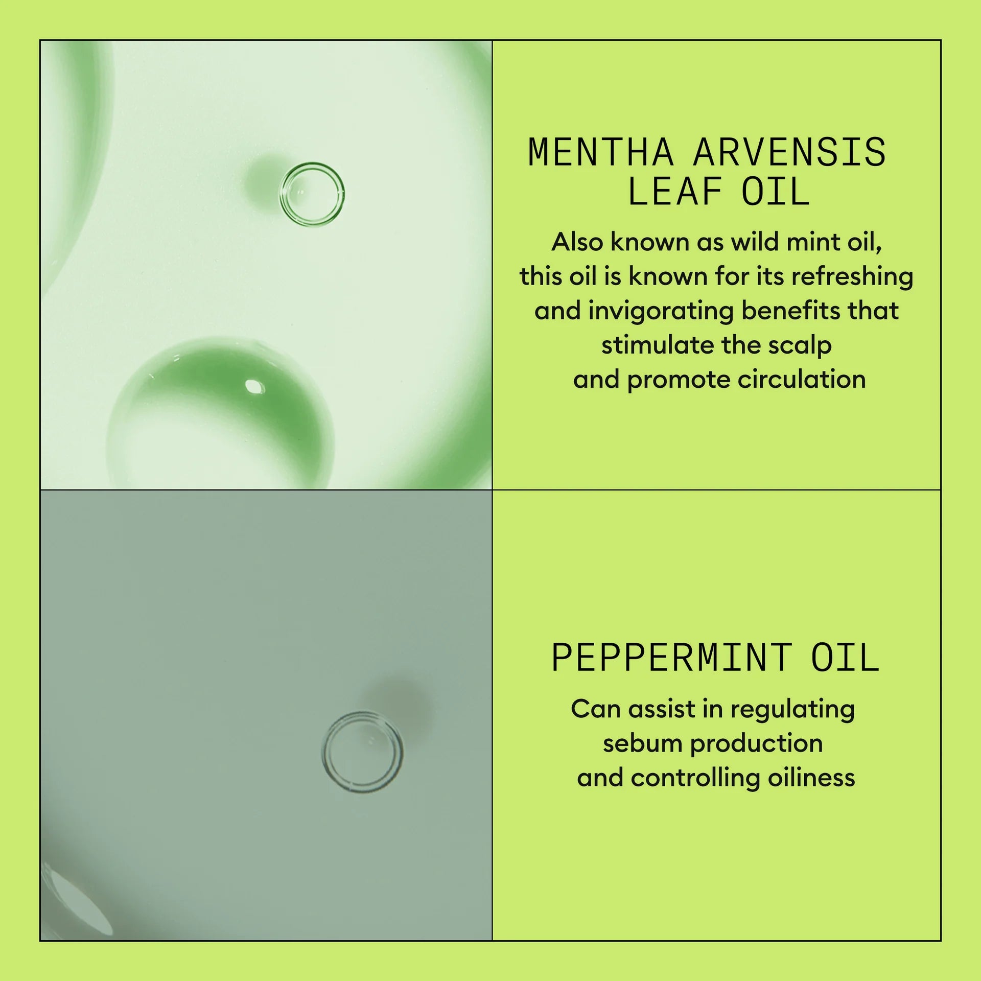 System 2 Après-shampoing Scalp Therapy