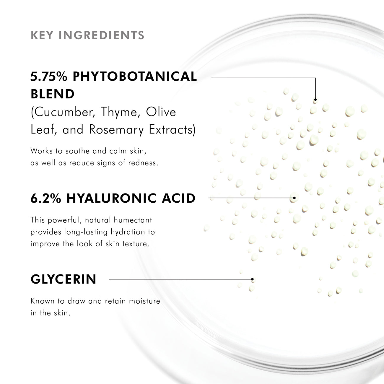 Brume hydratante Phyto Corrective Essence