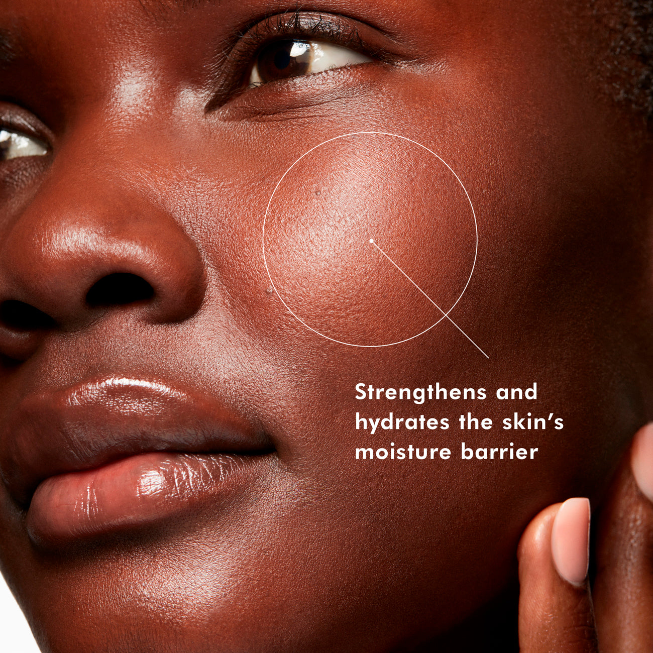 Brume hydratante Phyto Corrective Essence