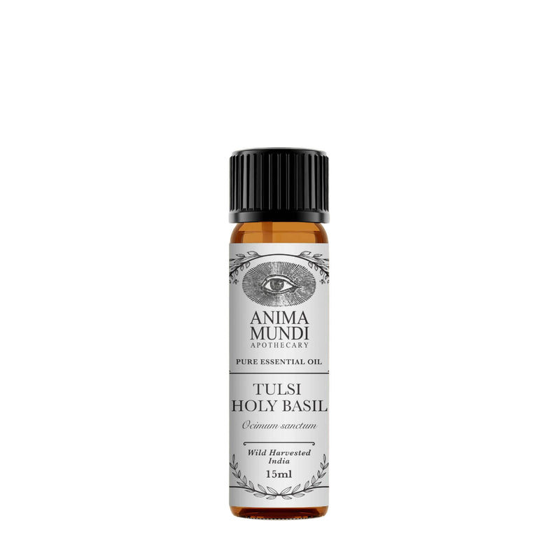TULSI (HOLY BASIL) Essential Oil | Sustainably Cultivated