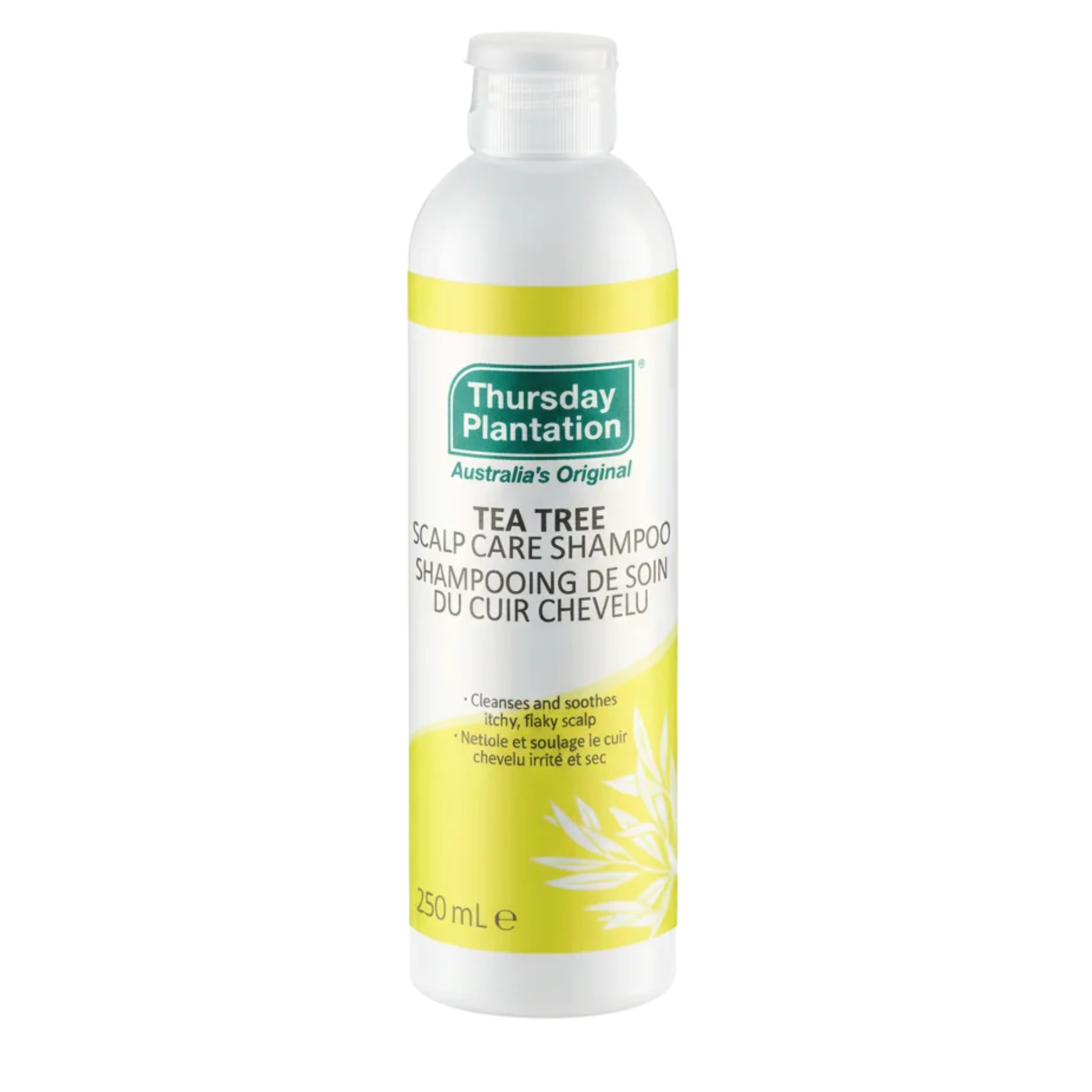 Tea Tree Scalp Care Shampoo
