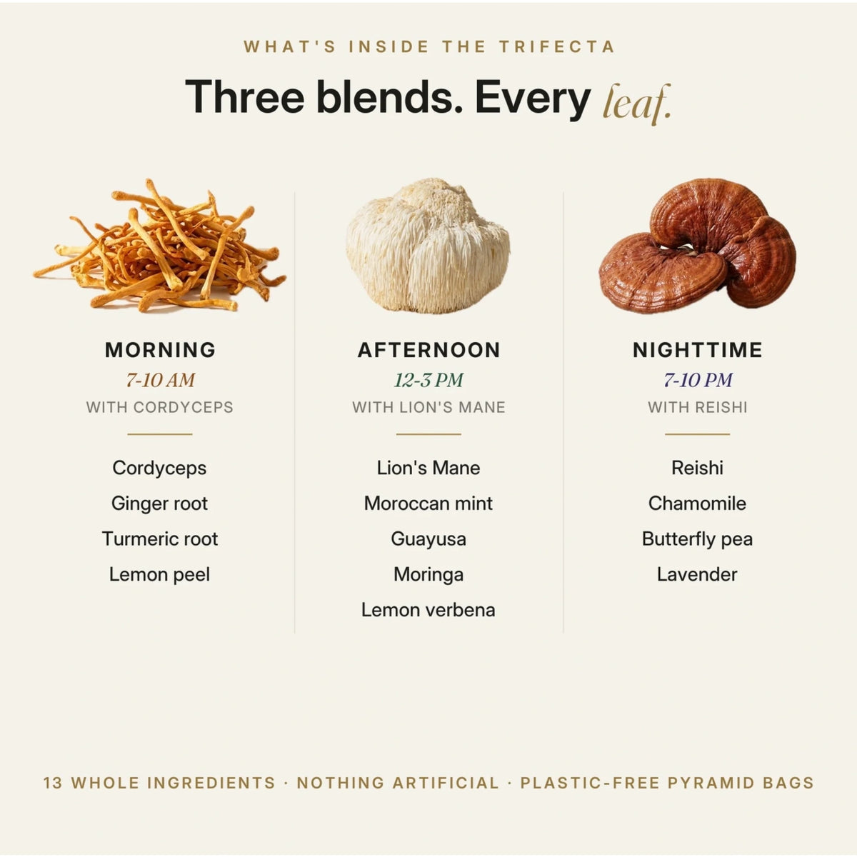alcamielements-tea-collection-1