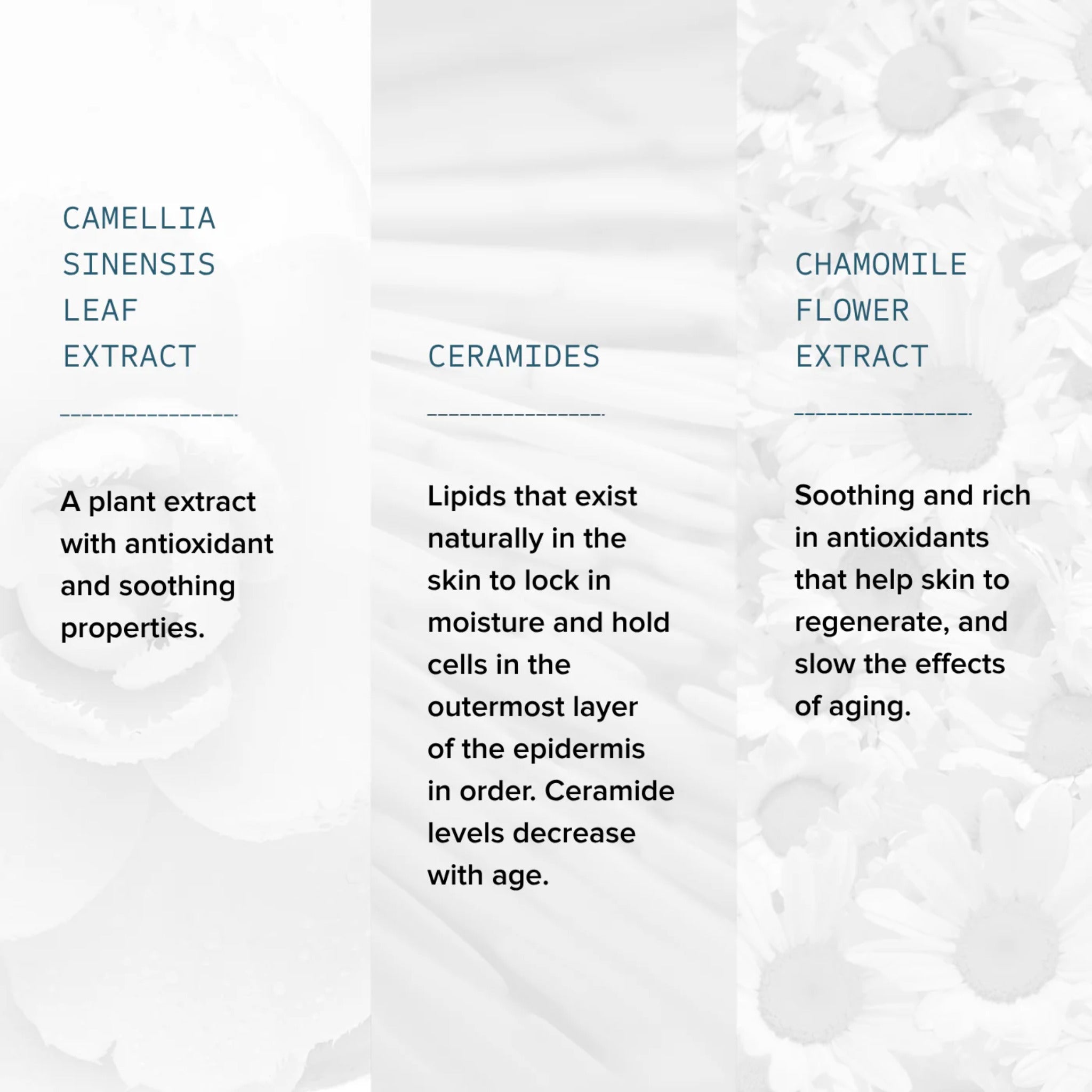 Gentle Foaming Cleanser