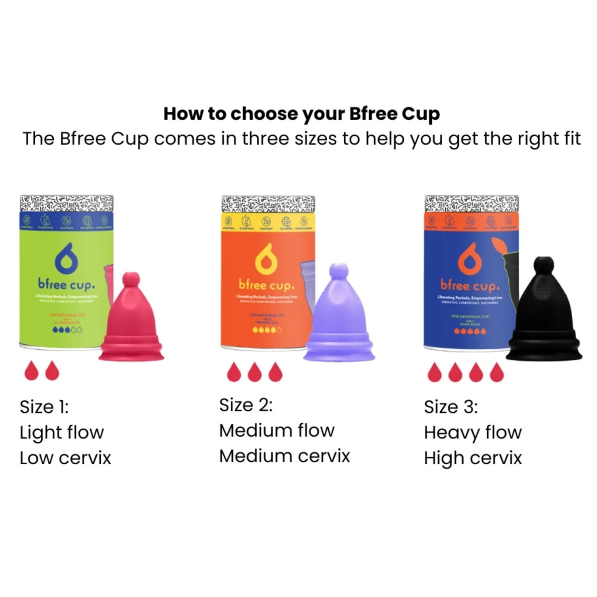 bfree-cup-display