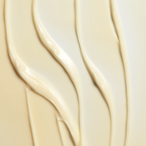 Émulsion pour le Corps