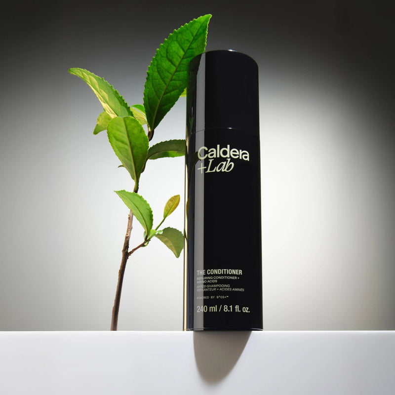 The Conditioner – Repairing Conditioner