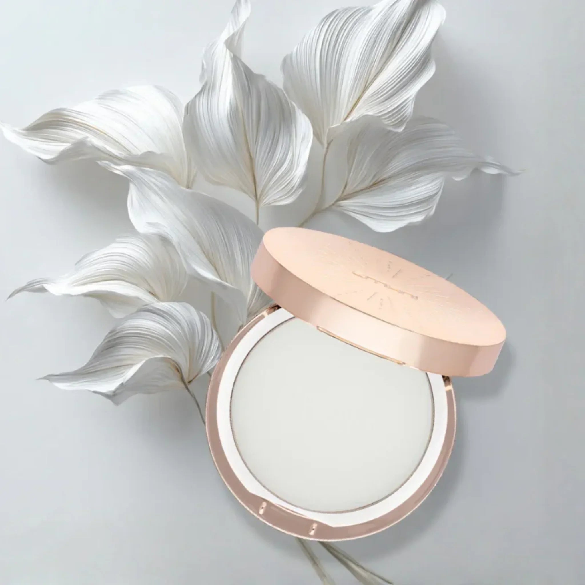Bye-Bye Shine Powder