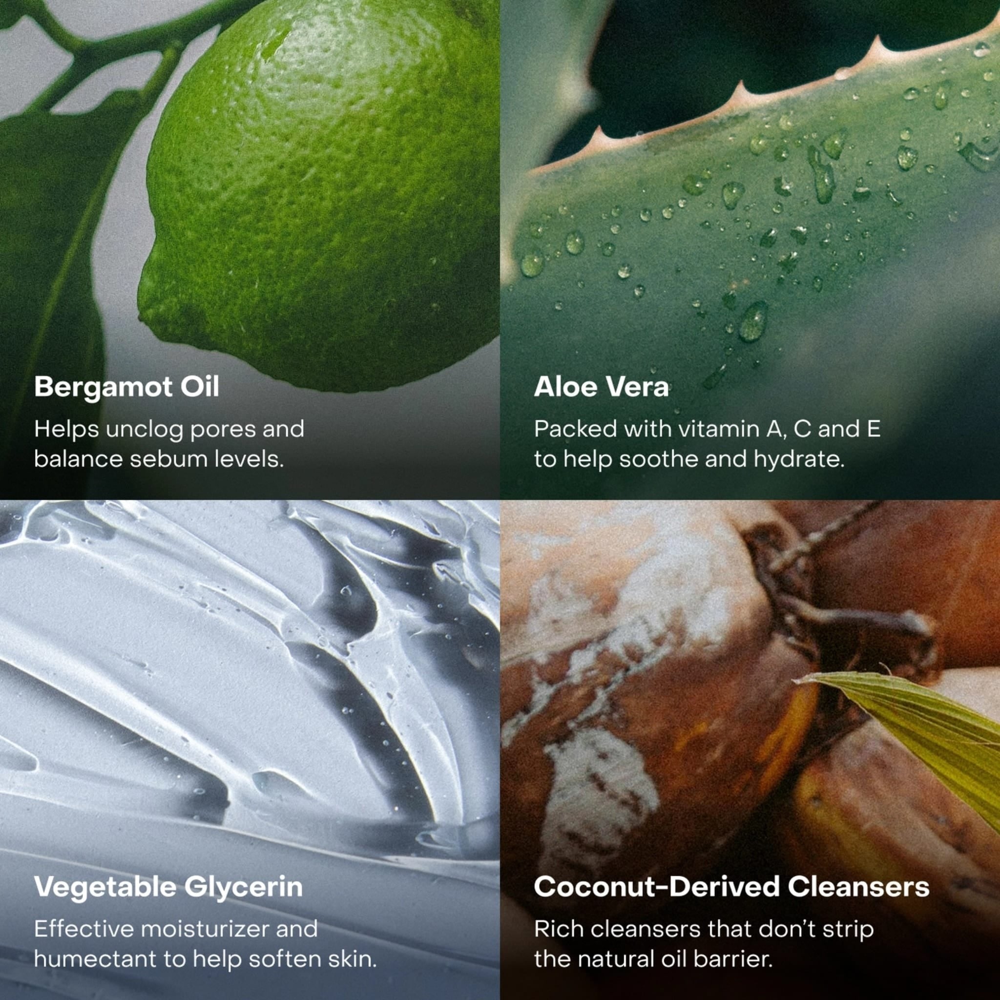 The Body Wash Concentrate