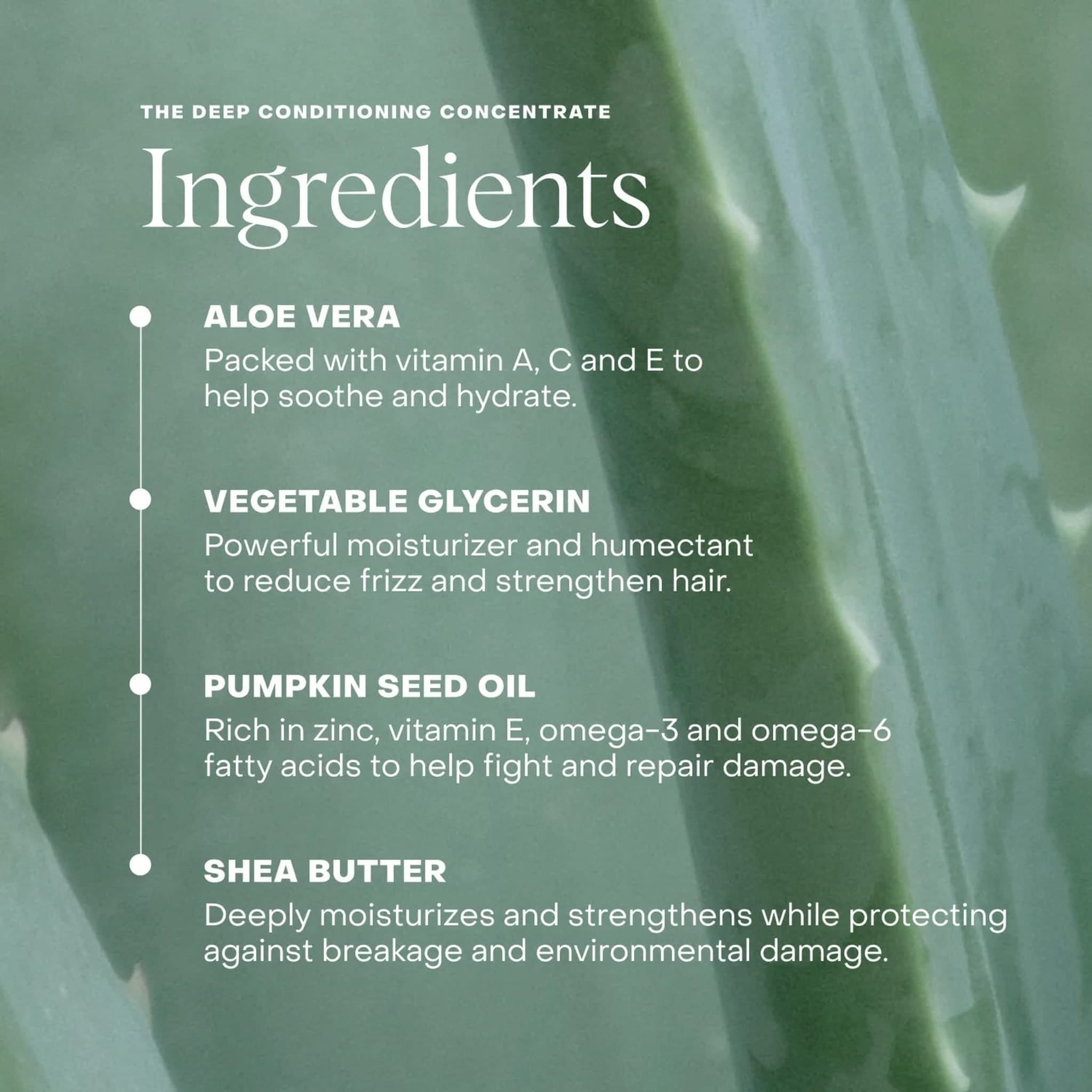 The Deep Conditioning Concentrate