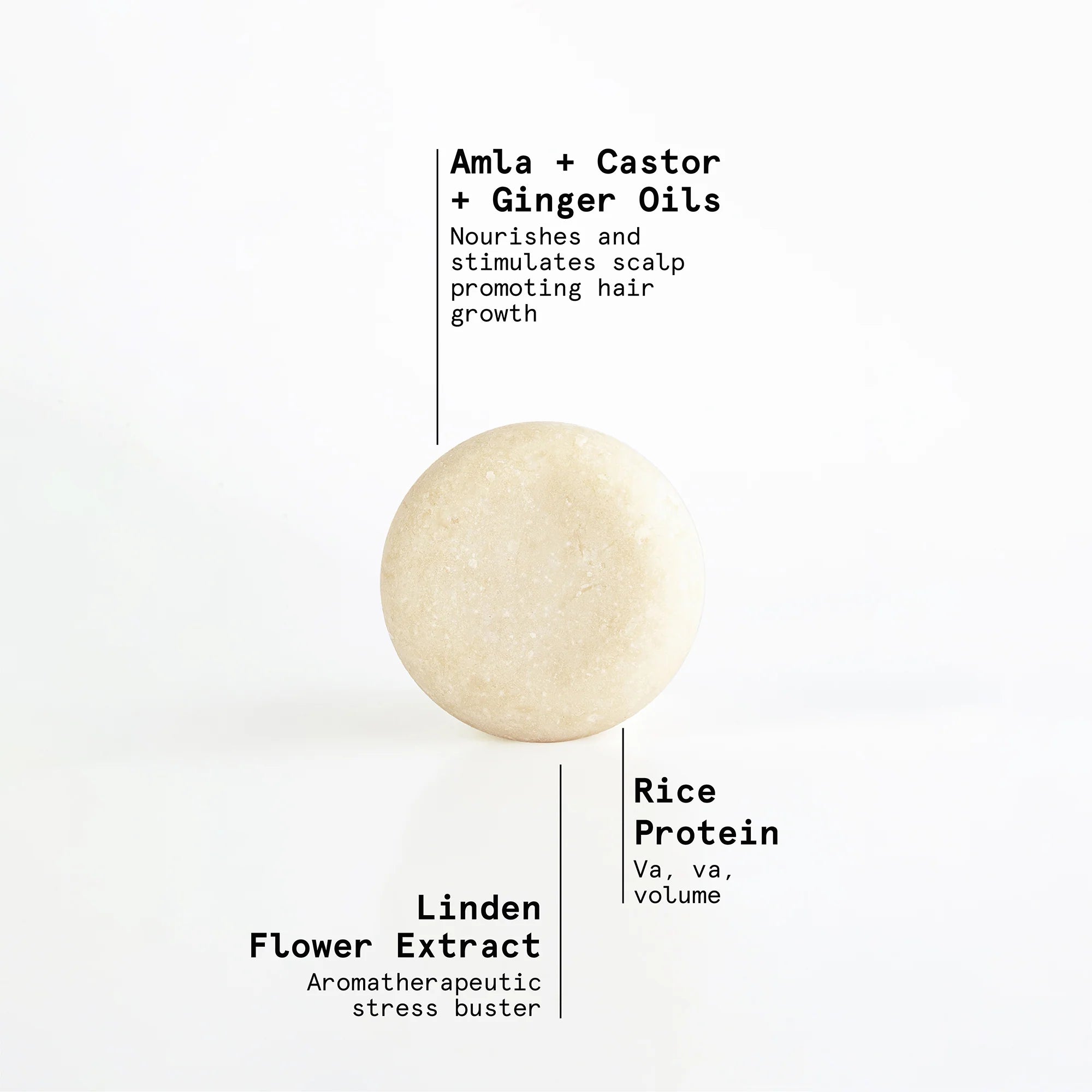 "Pump Up The Volume" Shampoing en barre