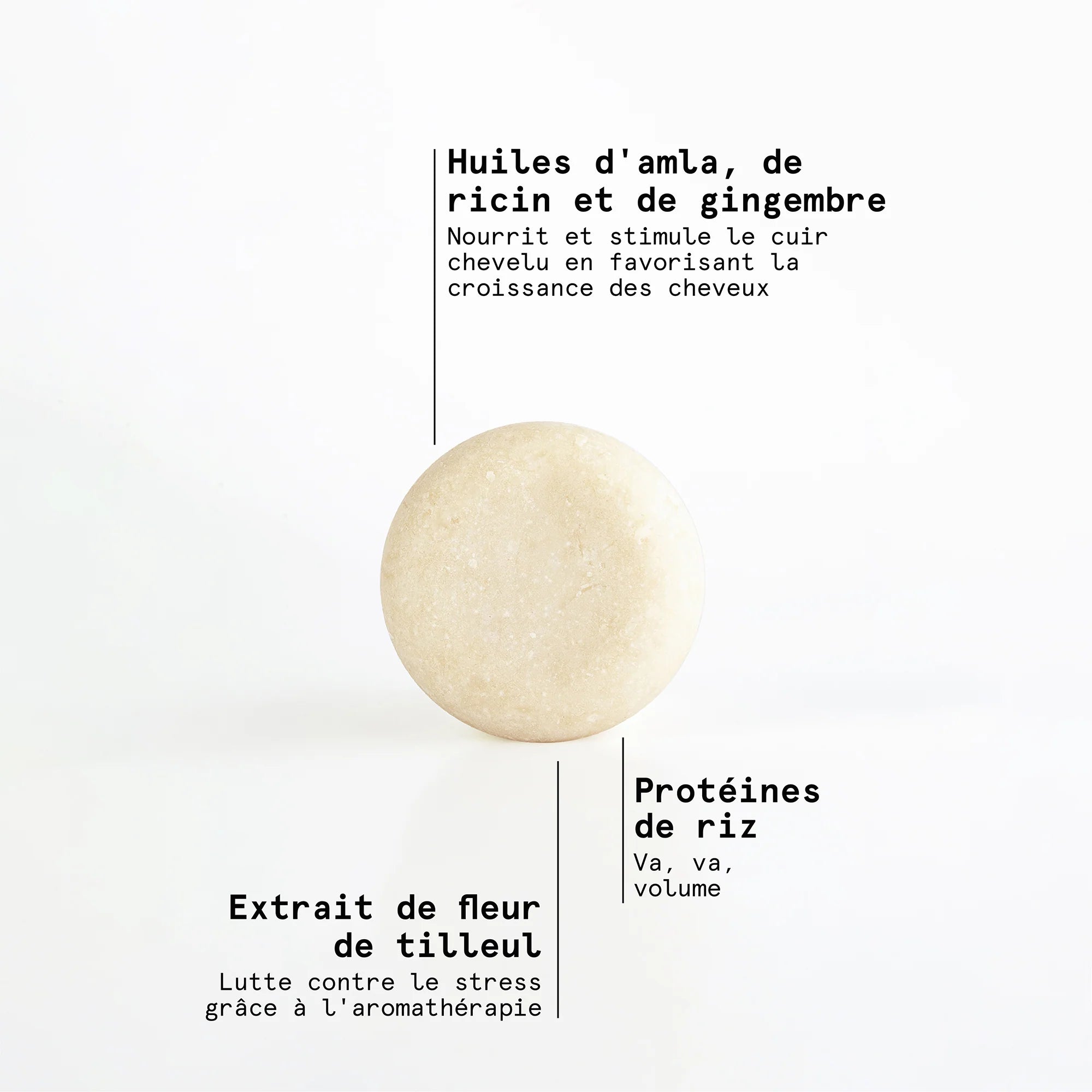 "Pump Up The Volume" Shampoing en barre