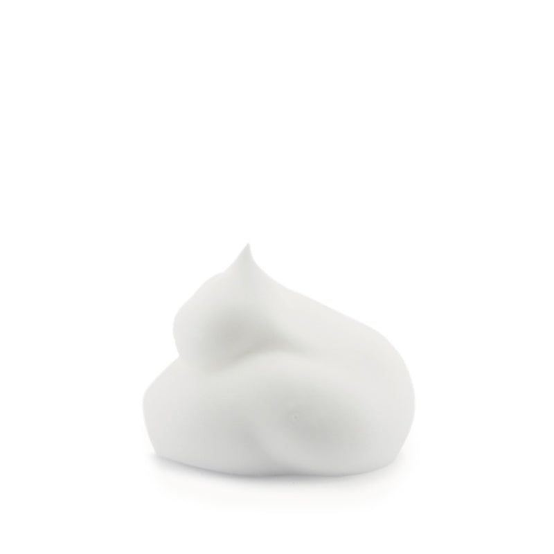 vagheggi-aw-hydrating-cleansing-mousse-1