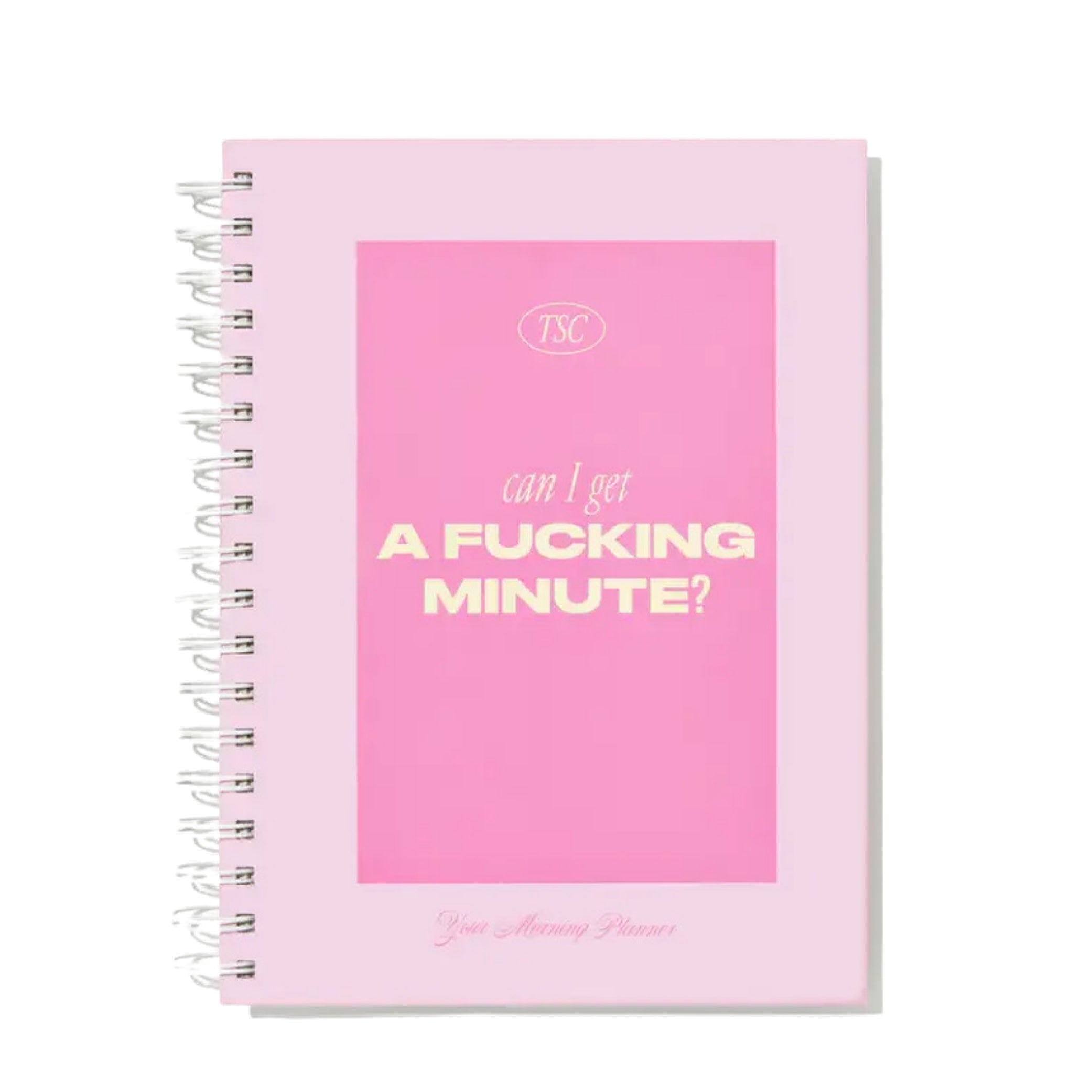 skinny confidential planner