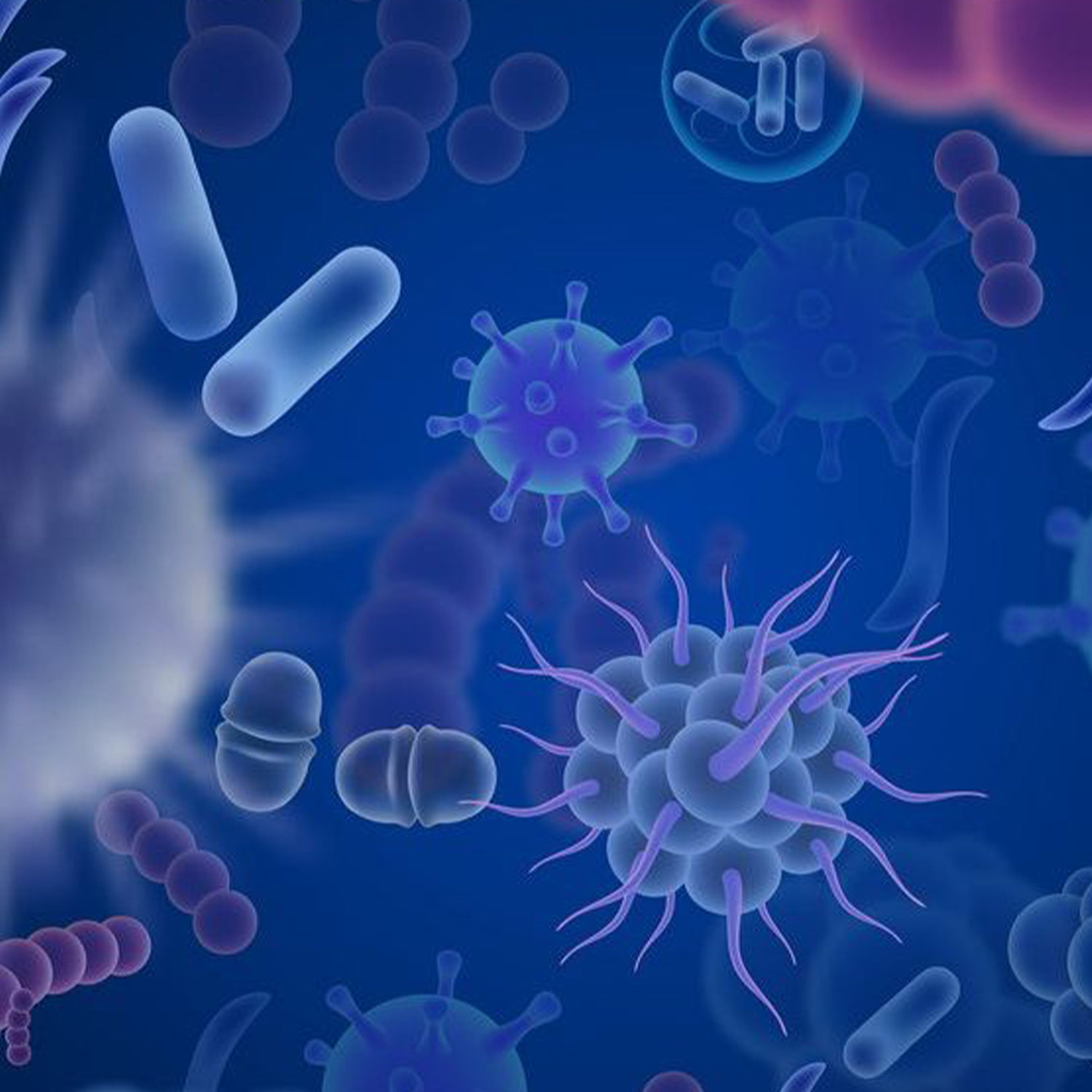 Parasites: Should We Fear Them or Understand Them?