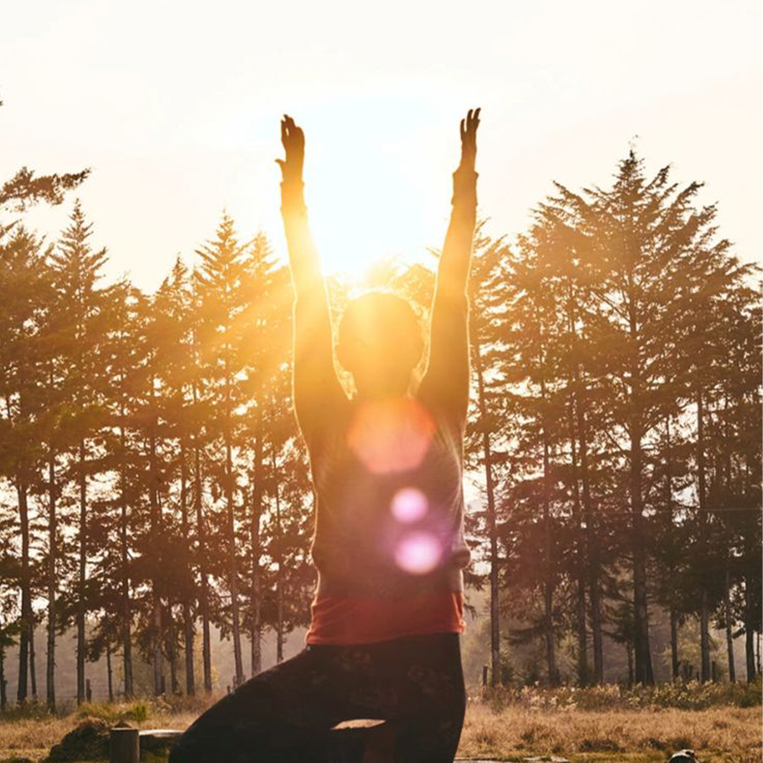 Why Women Should Prioritize Strength Training During Menopause