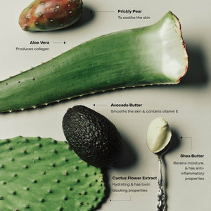 L'Exfoliant pour le corps