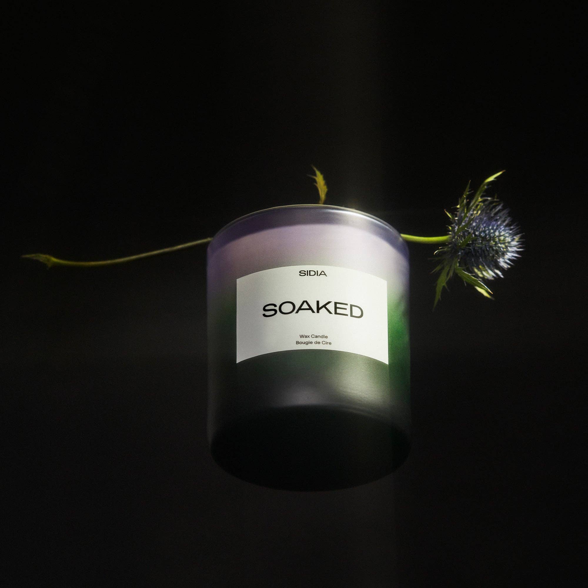 Candle