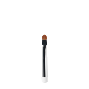 Clean-Up Brush