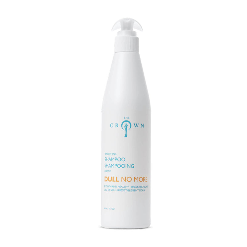 Shampoing Dull No More