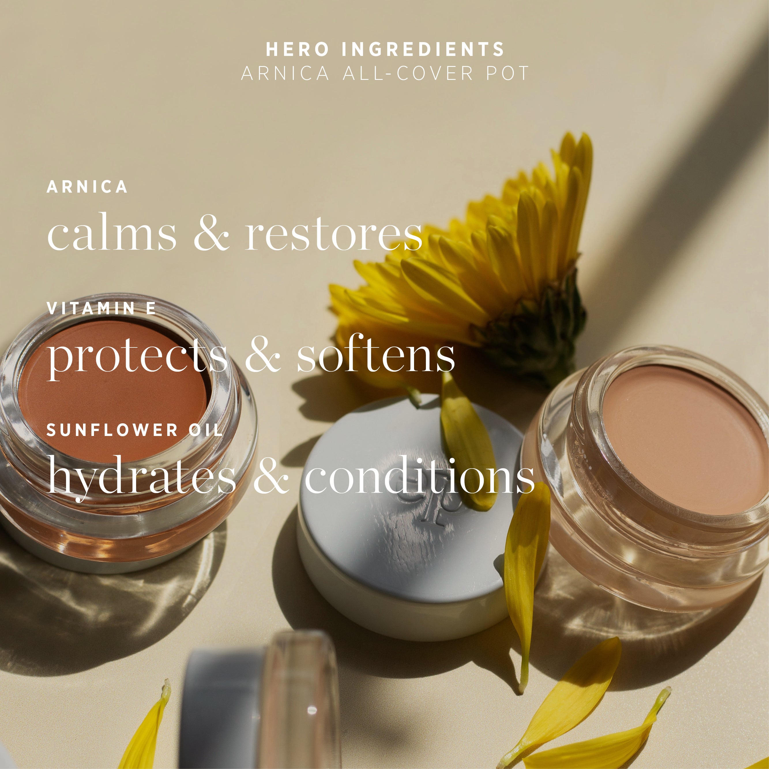 Arnica All-Cover Pot
