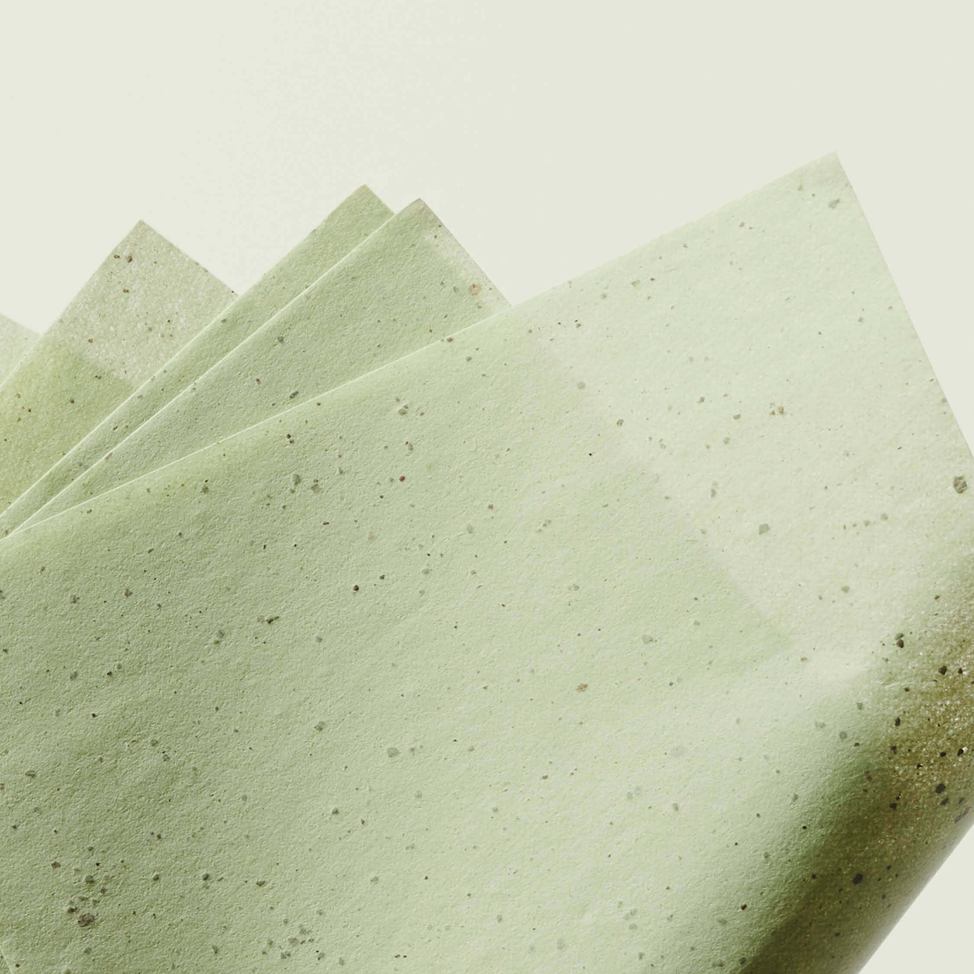 Green Tea Oil Control Paper