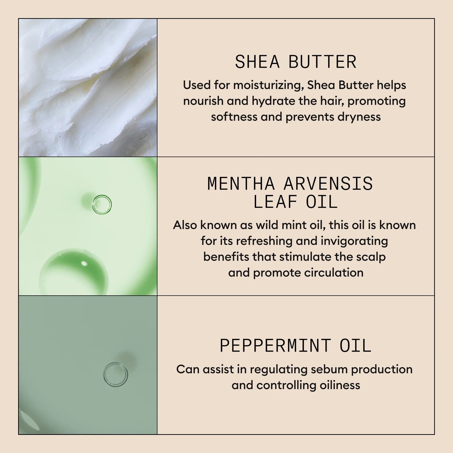 Scalp Purifying Exfoliator - Deep Cleanses and Refreshes Scalp