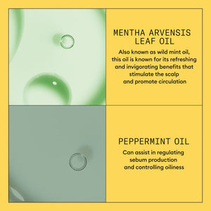 System 1 Scalp + Hair Conditioner - Hair Thickening Conditioner