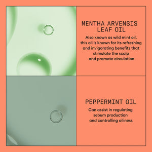 System 4 Scalp + Hair Conditioner - Hair Thickening Conditioner