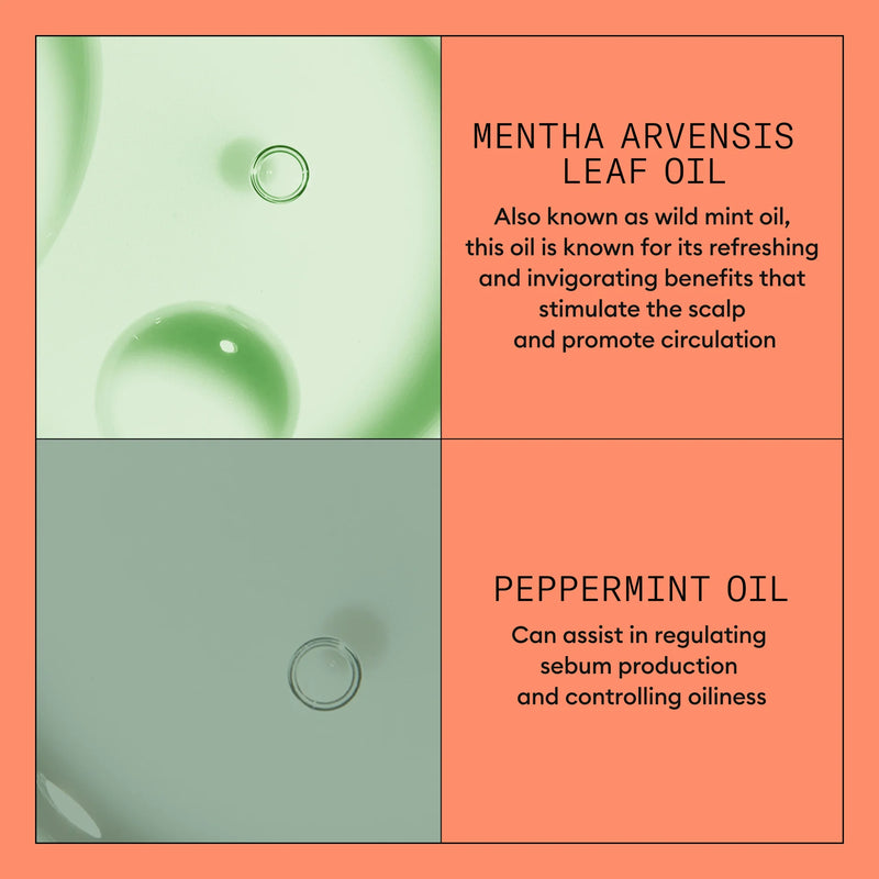 System 4 Scalp + Hair Conditioner - Hair Thickening Conditioner