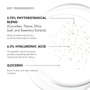 Phyto Corrective Essence Mist