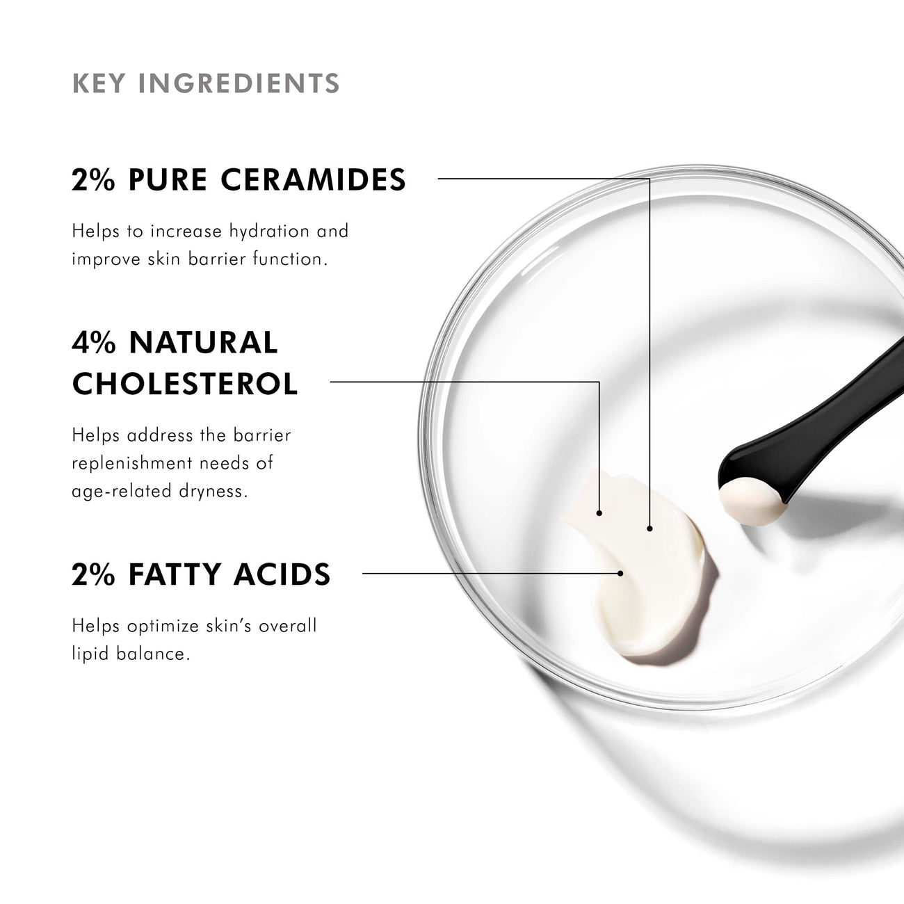 Skinceuticals Triple Lipid Restore – Boutique Skin Envie