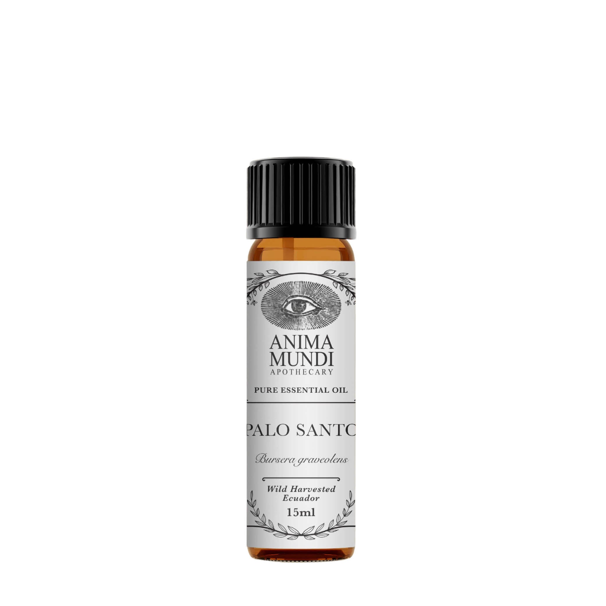 Palo Santo huile essentielle | Récolte sauvage