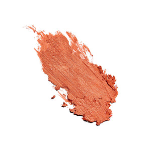 Sunforgettable® Total Protection® Color Balm SPF 50