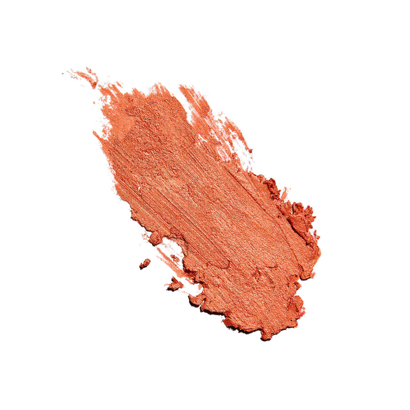 Sunforgettable® Total Protection® Color Balm SPF 50