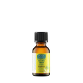 25ml