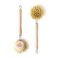 1 brush